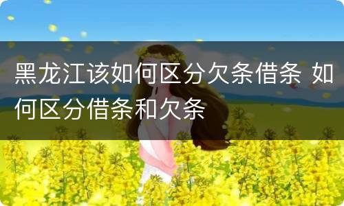 黑龙江该如何区分欠条借条 如何区分借条和欠条