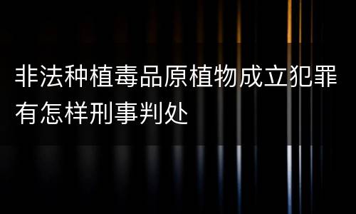 非法种植毒品原植物成立犯罪有怎样刑事判处