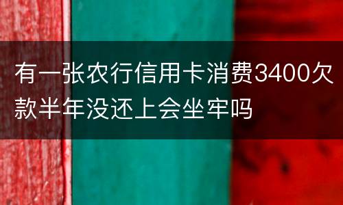 有一张农行信用卡消费3400欠款半年没还上会坐牢吗