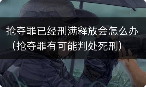 抢夺罪已经刑满释放会怎么办（抢夺罪有可能判处死刑）