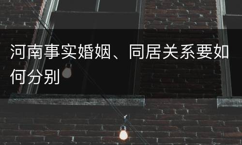 河南事实婚姻、同居关系要如何分别