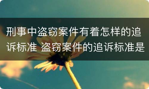 刑事中盗窃案件有着怎样的追诉标准 盗窃案件的追诉标准是多少