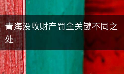 青海没收财产罚金关键不同之处