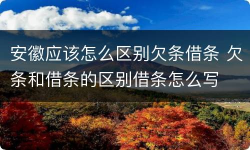 安徽应该怎么区别欠条借条 欠条和借条的区别借条怎么写