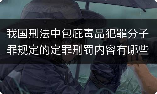 我国刑法中包庇毒品犯罪分子罪规定的定罪刑罚内容有哪些