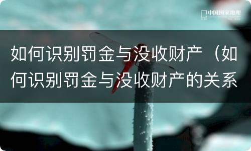 如何识别罚金与没收财产（如何识别罚金与没收财产的关系）