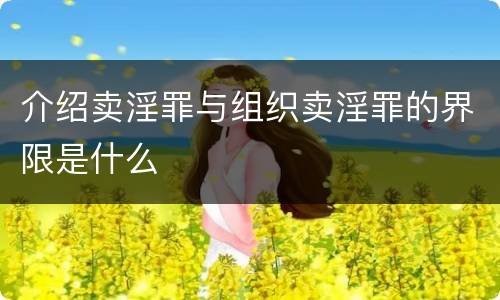 介绍卖淫罪与组织卖淫罪的界限是什么