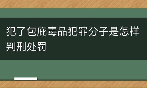 犯了包庇毒品犯罪分子是怎样判刑处罚