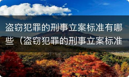 盗窃犯罪的刑事立案标准有哪些（盗窃犯罪的刑事立案标准有哪些规定）