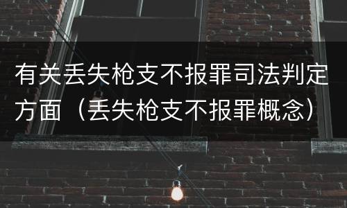 有关丢失枪支不报罪司法判定方面（丢失枪支不报罪概念）