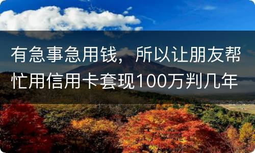 有急事急用钱，所以让朋友帮忙用信用卡套现100万判几年