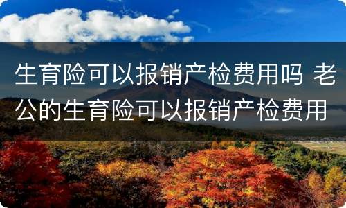 生育险可以报销产检费用吗 老公的生育险可以报销产检费用吗