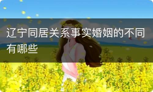 辽宁同居关系事实婚姻的不同有哪些