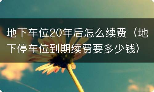 地下车位20年后怎么续费（地下停车位到期续费要多少钱）