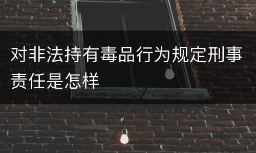 对非法持有毒品行为规定刑事责任是怎样