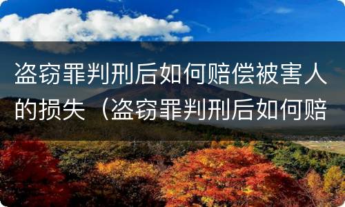 盗窃罪判刑后如何赔偿被害人的损失（盗窃罪判刑后如何赔偿被害人的损失金额）