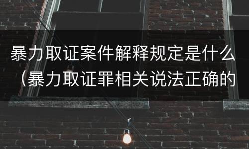 暴力取证案件解释规定是什么（暴力取证罪相关说法正确的是）