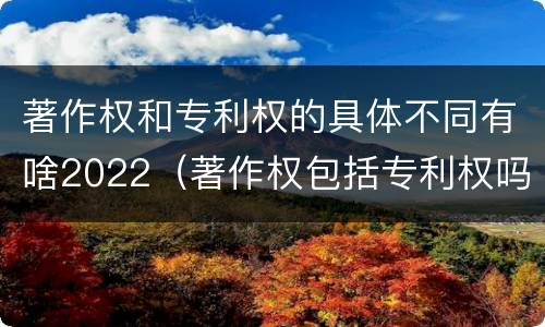 著作权和专利权的具体不同有啥2022（著作权包括专利权吗）