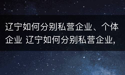 辽宁如何分别私营企业、个体企业 辽宁如何分别私营企业,个体企业呢