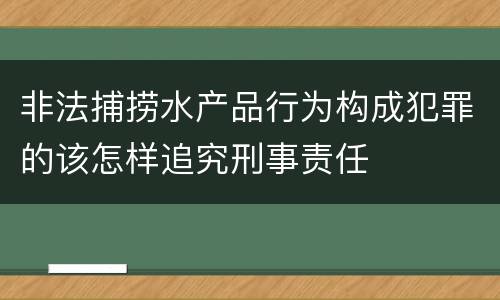 非法捕捞水产品行为构成犯罪的该怎样追究刑事责任