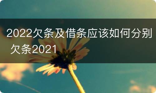 2022欠条及借条应该如何分别 欠条2021