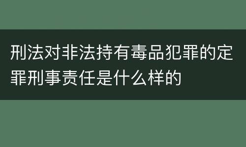 刑法对非法持有毒品犯罪的定罪刑事责任是什么样的