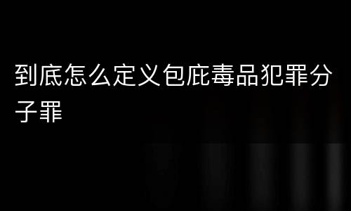 到底怎么定义包庇毒品犯罪分子罪