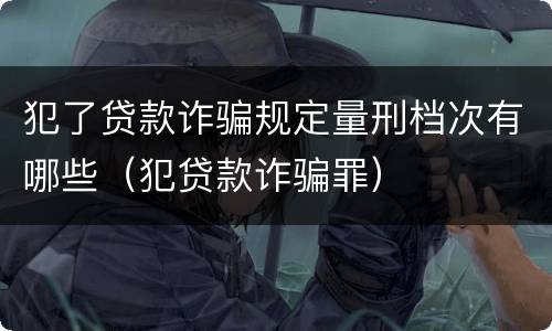 犯了贷款诈骗规定量刑档次有哪些（犯贷款诈骗罪）