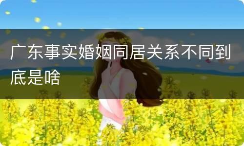 广东事实婚姻同居关系不同到底是啥