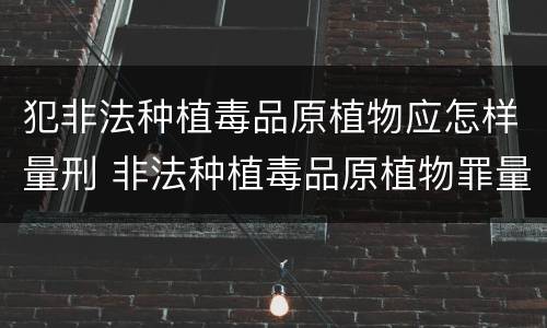 犯非法种植毒品原植物应怎样量刑 非法种植毒品原植物罪量刑