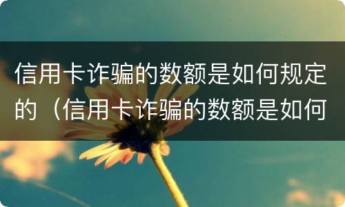 信用卡诈骗的数额是如何规定的（信用卡诈骗的数额是如何规定的呢）