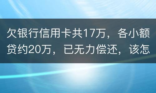 欠银行信用卡共17万，各小额贷约20万，已无力偿还，该怎么办