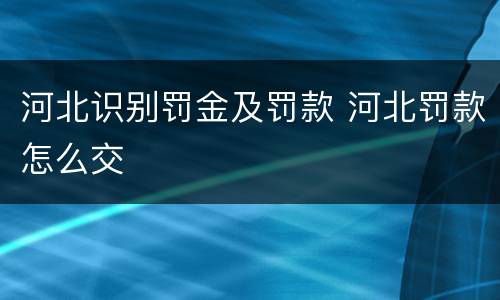 河北识别罚金及罚款 河北罚款怎么交