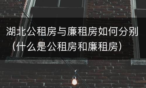 湖北公租房与廉租房如何分别（什么是公租房和廉租房）