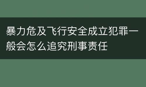 暴力危及飞行安全成立犯罪一般会怎么追究刑事责任