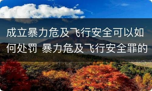 成立暴力危及飞行安全可以如何处罚 暴力危及飞行安全罪的暴力行为的对象是