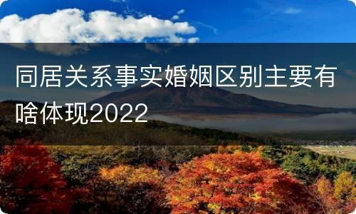 同居关系事实婚姻区别主要有啥体现2022