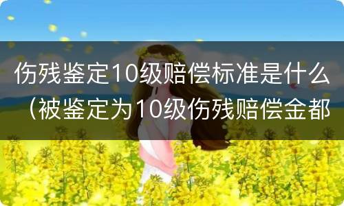 伤残鉴定10级赔偿标准是什么（被鉴定为10级伤残赔偿金都有什么）