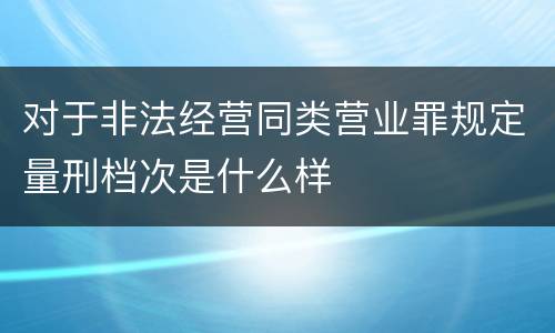 对于非法经营同类营业罪规定量刑档次是什么样