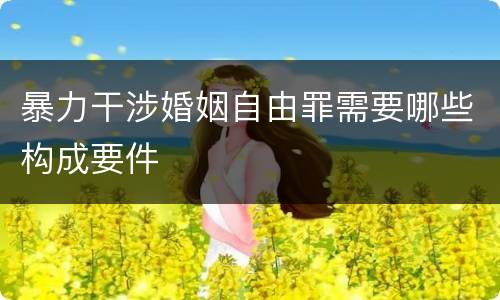 暴力干涉婚姻自由罪需要哪些构成要件