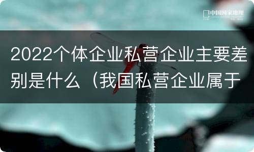 2022个体企业私营企业主要差别是什么（我国私营企业属于）