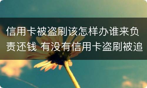 信用卡被盗刷该怎样办谁来负责还钱 有没有信用卡盗刷被追回的例子