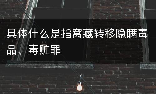 具体什么是指窝藏转移隐瞒毒品、毒赃罪