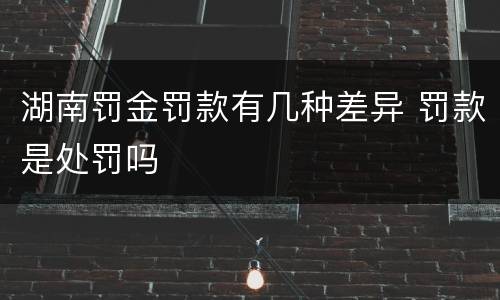 湖南罚金罚款有几种差异 罚款是处罚吗