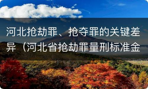 河北抢劫罪、抢夺罪的关键差异（河北省抢劫罪量刑标准金额）