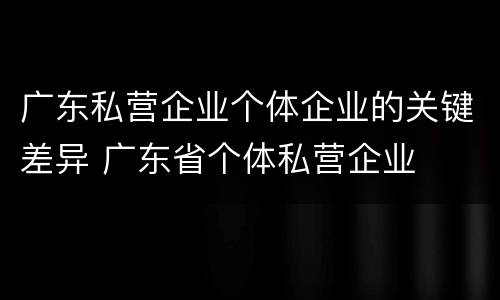 广东私营企业个体企业的关键差异 广东省个体私营企业