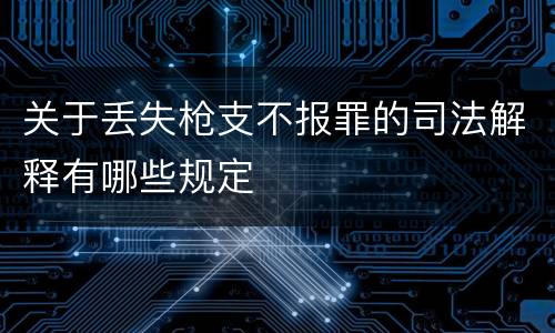 关于丢失枪支不报罪的司法解释有哪些规定