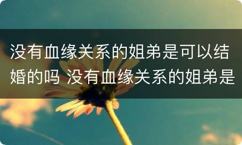 没有血缘关系的姐弟是可以结婚的吗 没有血缘关系的姐弟是可以结婚的吗视频