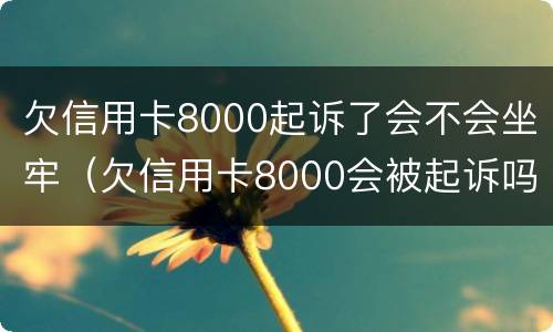 欠信用卡8000起诉了会不会坐牢（欠信用卡8000会被起诉吗）