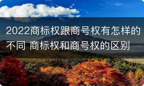 2022商标权跟商号权有怎样的不同 商标权和商号权的区别